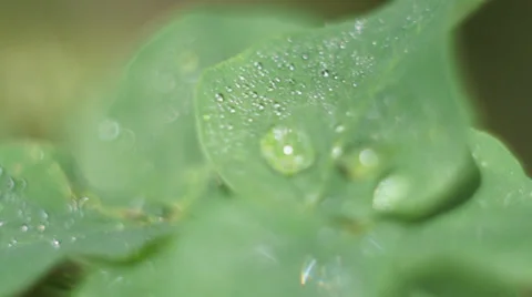 Water drop Vídeos de archivo 27243333