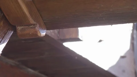 Water drop Stock Footage 73796811