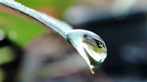 Water drop Stock Footage 165588612