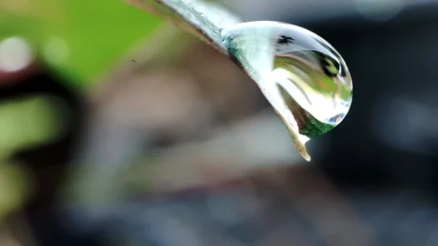 Water drop Stock Footage 165588615
