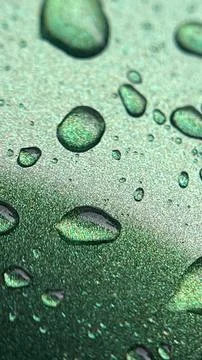 Water drop on green background 스톡 사진