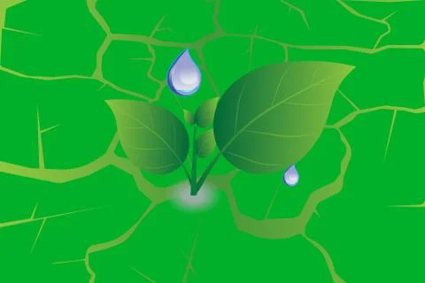Water drop on green leaf ground texture Stock Illustration