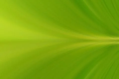 Water drop Stock Illustration