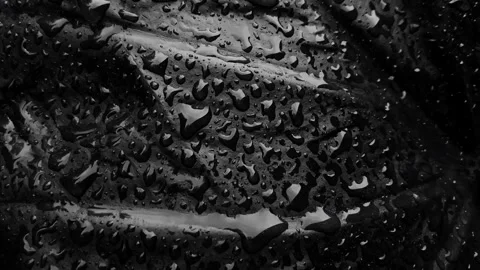 Water drop leaf abstract wet surface Stock Footage 256180098