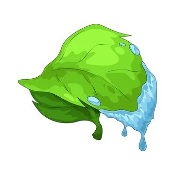 Water Drop Leaf illustration Illustrazione stock