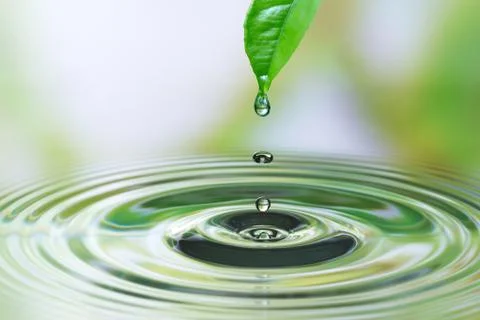 Water drop on leaf Stock Photos
