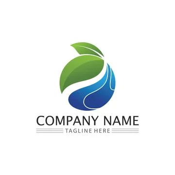 Water drop Logo Template vector Stock Illustration