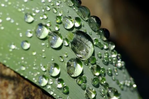 Water drop macro Stock Photos