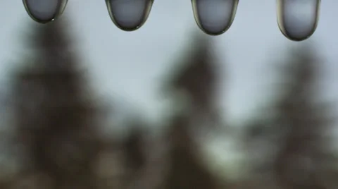 Water drop on nature background, Slow Motion Stock Footage 31819653