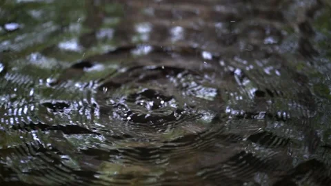 Water drop at nature in the forest. Stockbeeldmateriaal 124826393