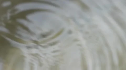 Water Drop Pattern Stock Footage 291788821