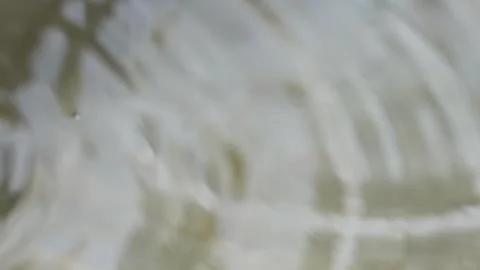 Water Drop Pattern Stock Footage 291788848