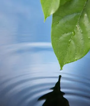 Water drop Stock Photos