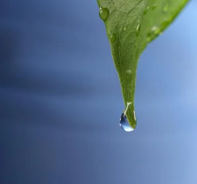 Water drop Stock Photos