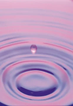 Water Drop Stock Photos