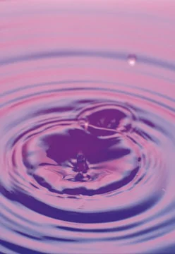 Water Drop Stock Photos