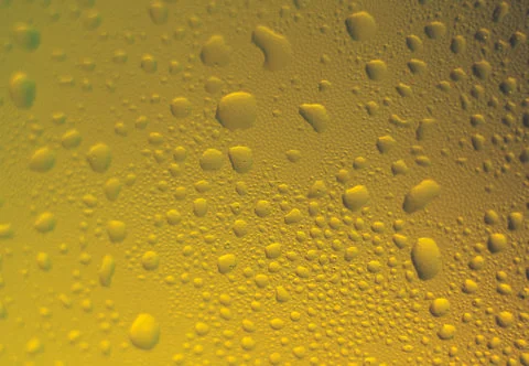 Water Drop Stock Photos