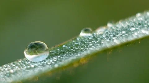 Water drop Stock Photos