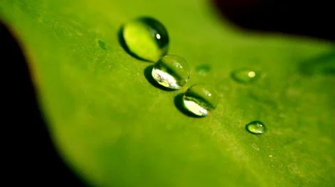 Water drop Stock Photos