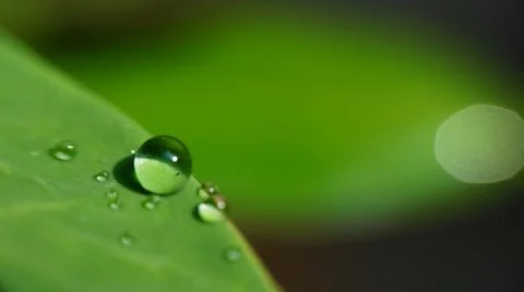 Water drop Stock Photos