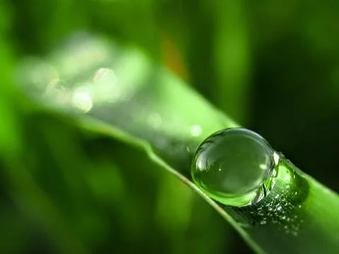Water drop Stock Photos