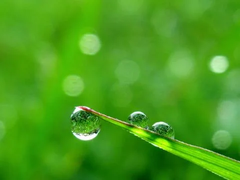 Water drop Stock Photos