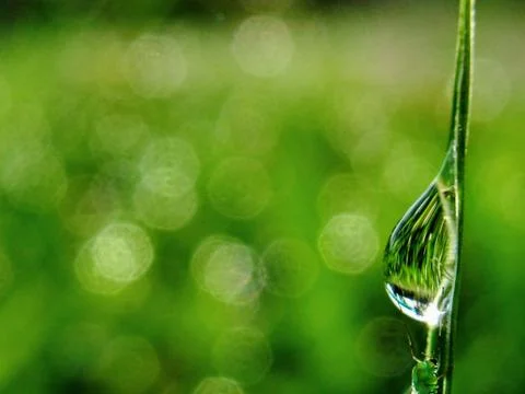 Water drop Stock Photos