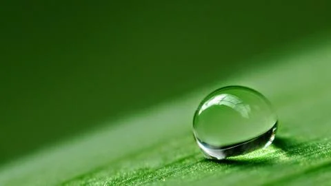 Water drop Stock Photos