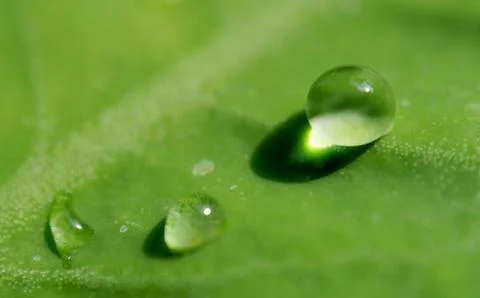 Water drop Stock Photos