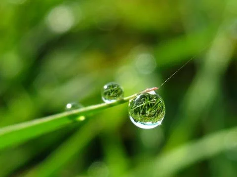 Water drop Stock Photos