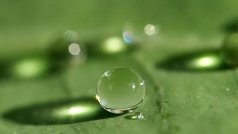 Water drop Stock Photos
