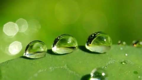 Water drop Stock Photos
