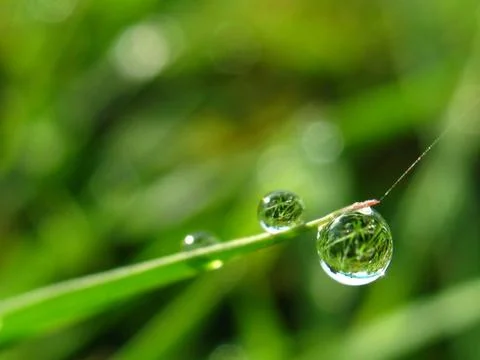 Water drop Stock Photos