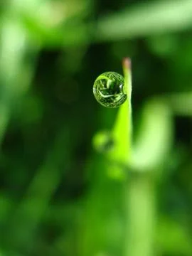 Water drop Stock Photos