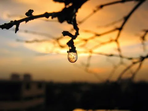 Water drop Stock Photos