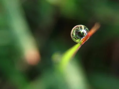 Water drop Stock Photos