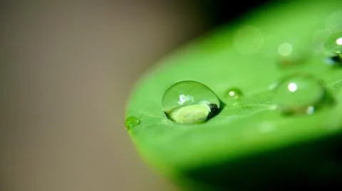 Water drop Stock Photos