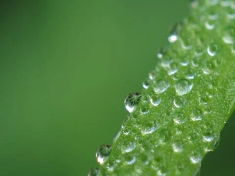 Water drop Stock Photos