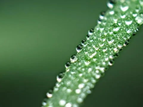 Water drop Stock Photos
