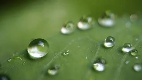 Water drop Stock Photos
