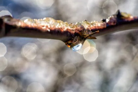 Water drop Foto stock