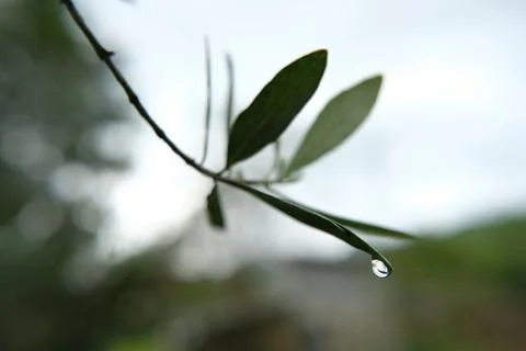 Water drop Stock-Fotos