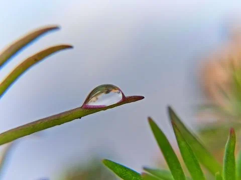 Water drop 스톡 사진