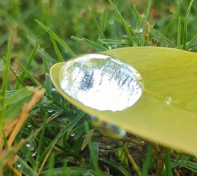 Water drop Stock Photos