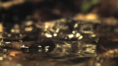Water drop on puddle slow motion Stock Footage 853511