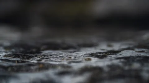Water drop in puddle. Slow Motion. Stock Footage 67430573