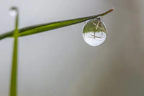 Water drop reflection of a environment Stock Photos