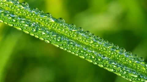 Water drop shine in sun light. Stock Footage 334439241