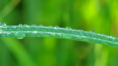 Water drop shine in sun light. Stock Footage 334439278