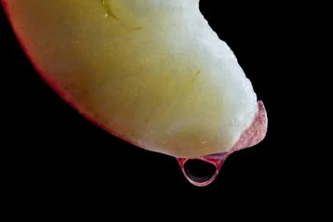 Water drop on a slice of apple 스톡 사진
